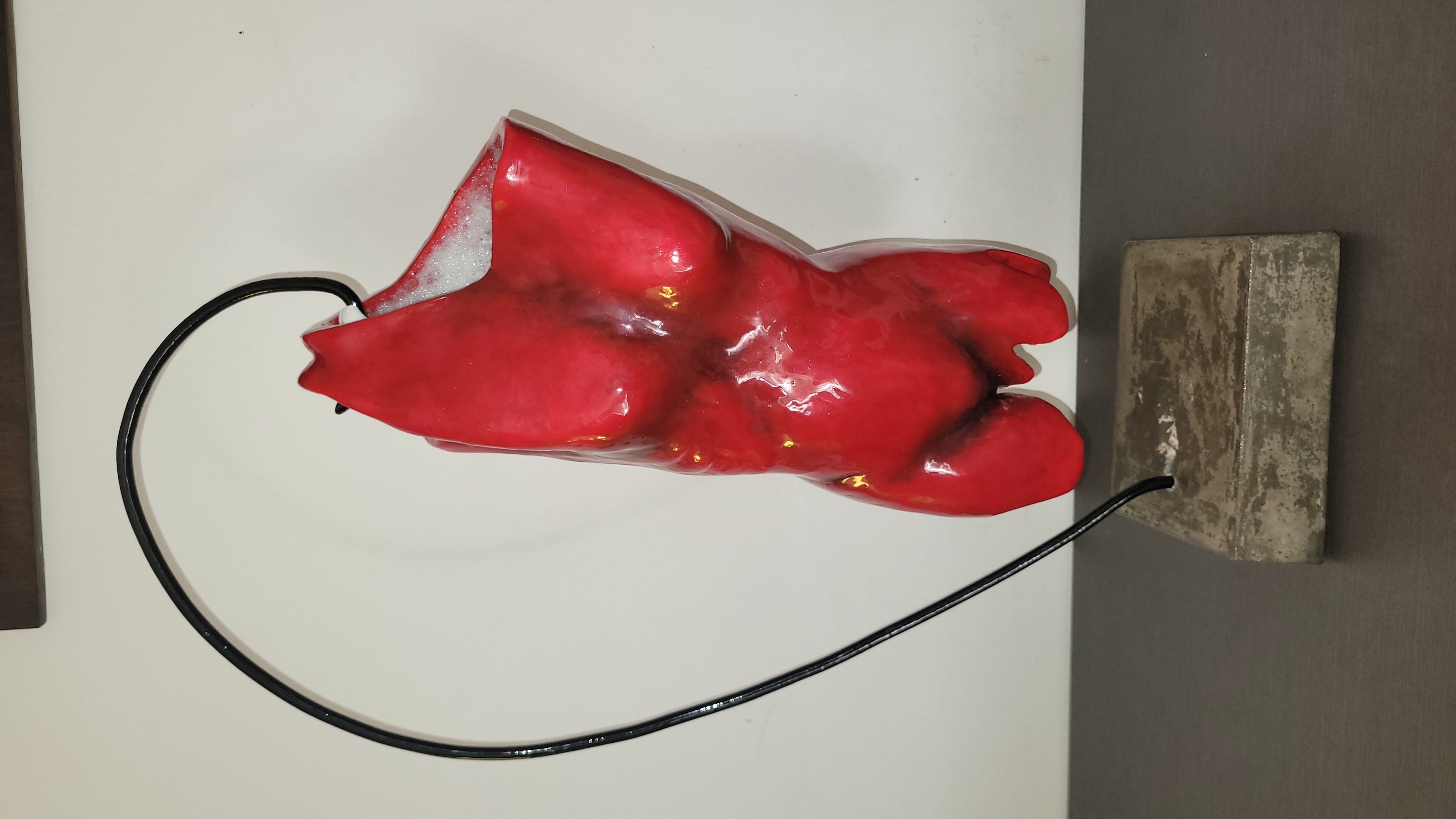 NON SONO LA TUA PELLE